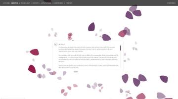 몽환적인 분위기~~