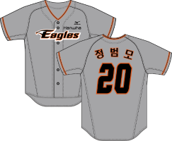 jersey 31