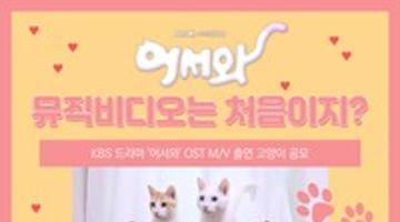 고양이 콘텐츠 공모전 <어서와! 뮤직비디오 출연은 처음이지?>