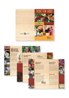 Brochure Design1